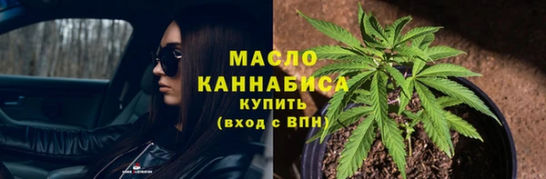 гидра Каменногорск