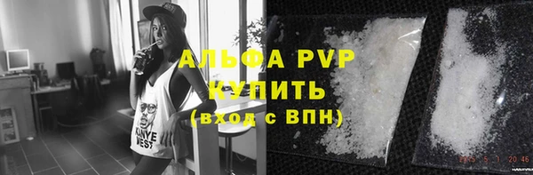 гидра Каменногорск
