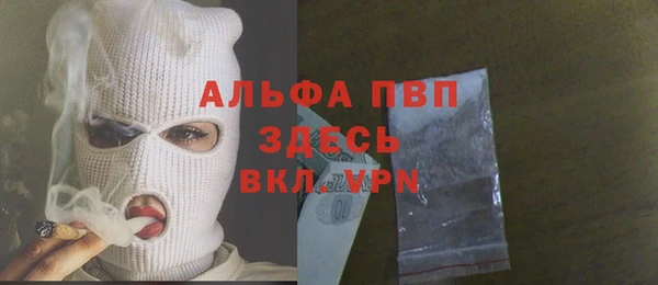 гидра Каменногорск