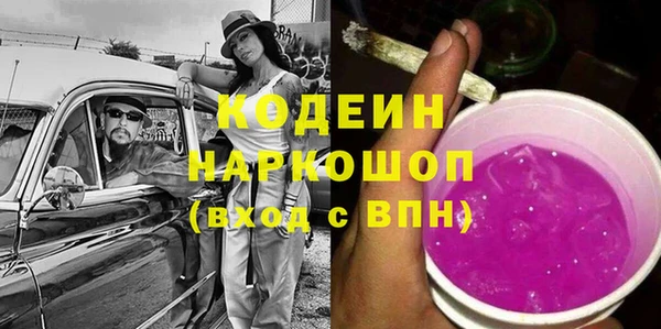 гидра Каменногорск