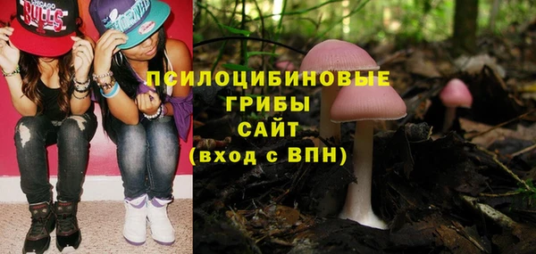 гидра Каменногорск