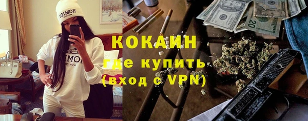 гидра Каменногорск