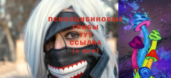 не бодяженный Каменка