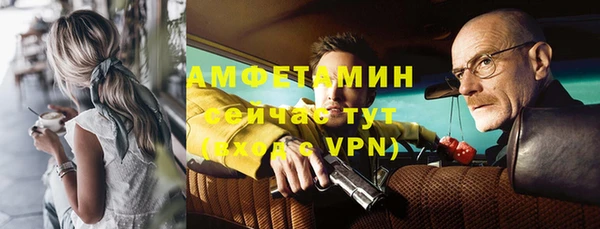 гидра Каменногорск