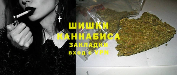 гидра Каменногорск