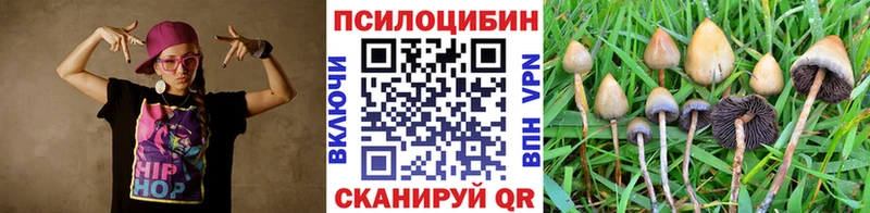 Купить  Рассказово  Псилоцибиновые грибы Psilocybe 